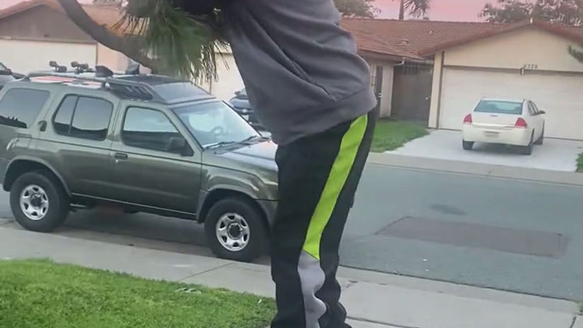 He thought he was Tarzan.